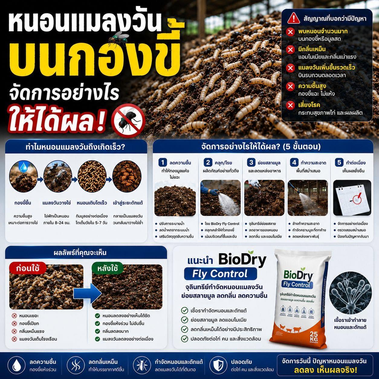 หนอนแมลงวันบนกองขี้ จัดการอย่างไรให้ได้ผล? แก้ปัญหาที่ต้นเหตุ ลดแมลงวันทั้งฟาร์ม