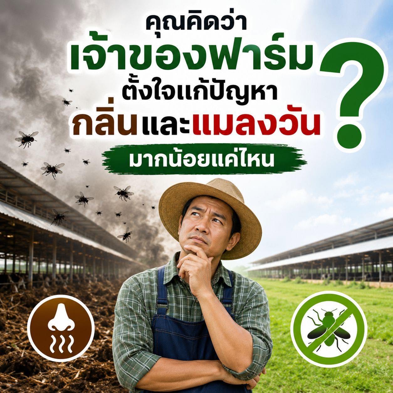 คุณคิดว่า...เจ้าของฟาร์มของคุณ ตั้งใจแก้ปัญหากลิ่นและแมลงวัน มากน้อยแค่ไหน?