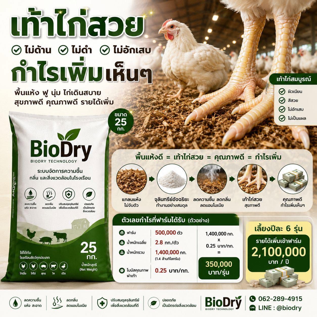 เท้าไก่สวย กำไรเพิ่มเห็น ๆ เพราะพื้นแห้งคือหัวใจของการเลี้ยงไก่คุณภาพ