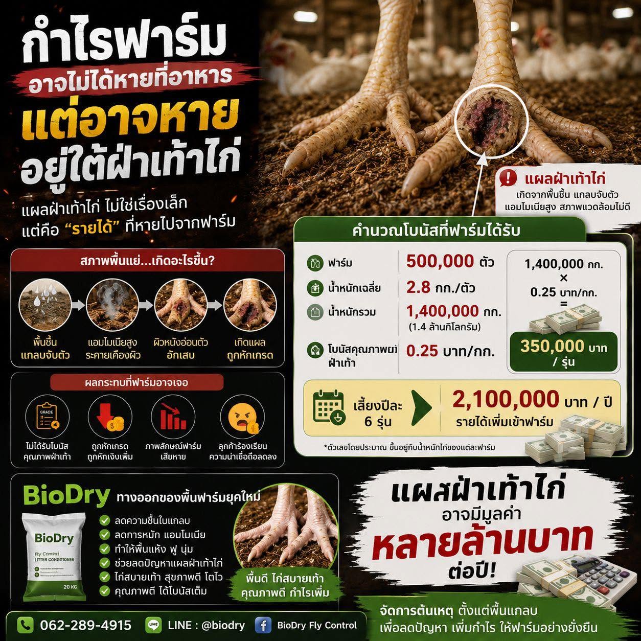 กำไรฟาร์มอาจไม่ได้หายที่อาหาร แต่อาจหายอยู่ใต้ฝ่าเท้าไก่