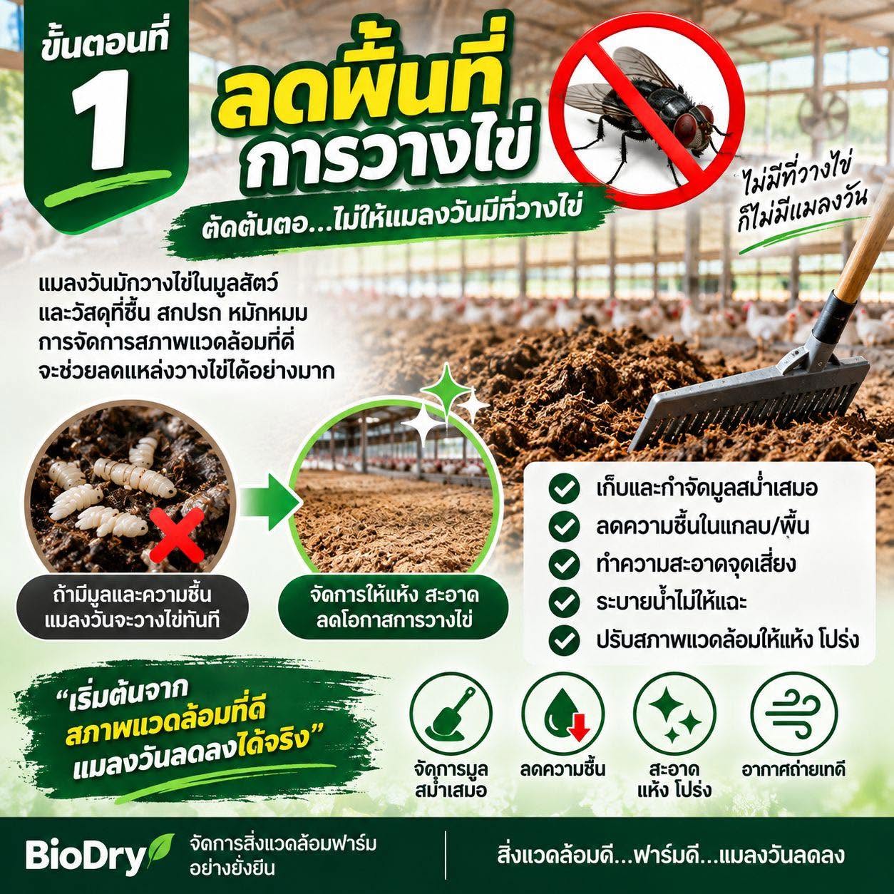 จัดการแมลงวันในฟาร์มไก่ให้ได้ผล ต้องทำครบ 4 ขั้นตอน ตัดวงจรตั้งแต่ต้นทาง